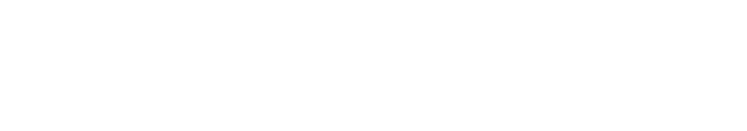 監督：ハンス・シュタインビッヒラー